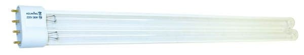 PL Lampadina di ricambio 55W 2G11 – AquaKing