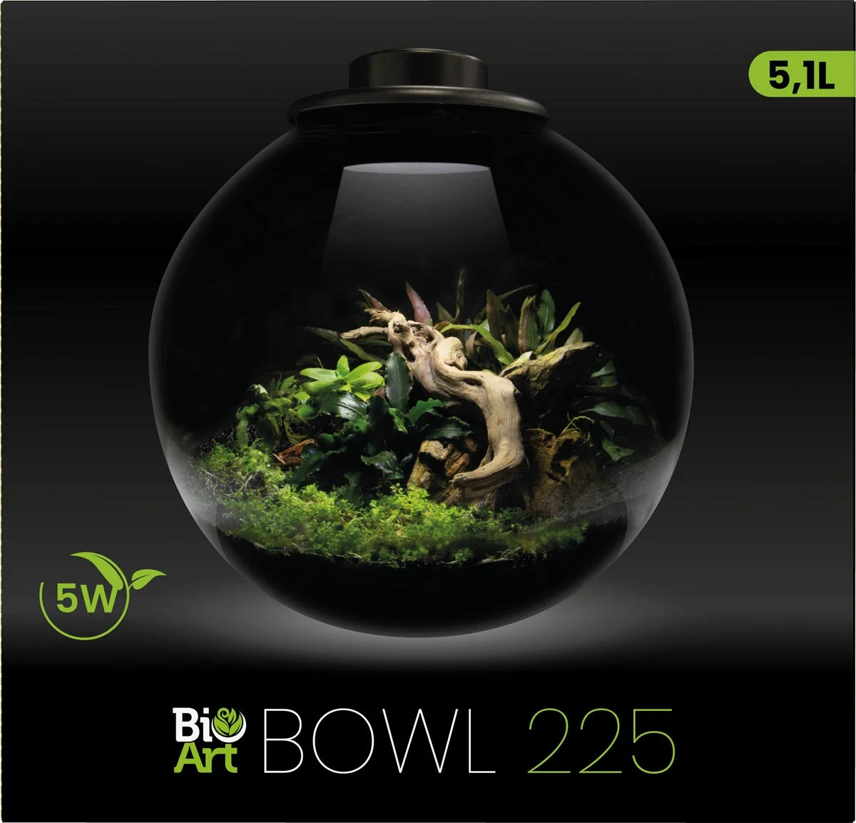 BOWL 225 BLACK - BIOART