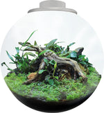 BOWL 225 BLANCO - BIOART