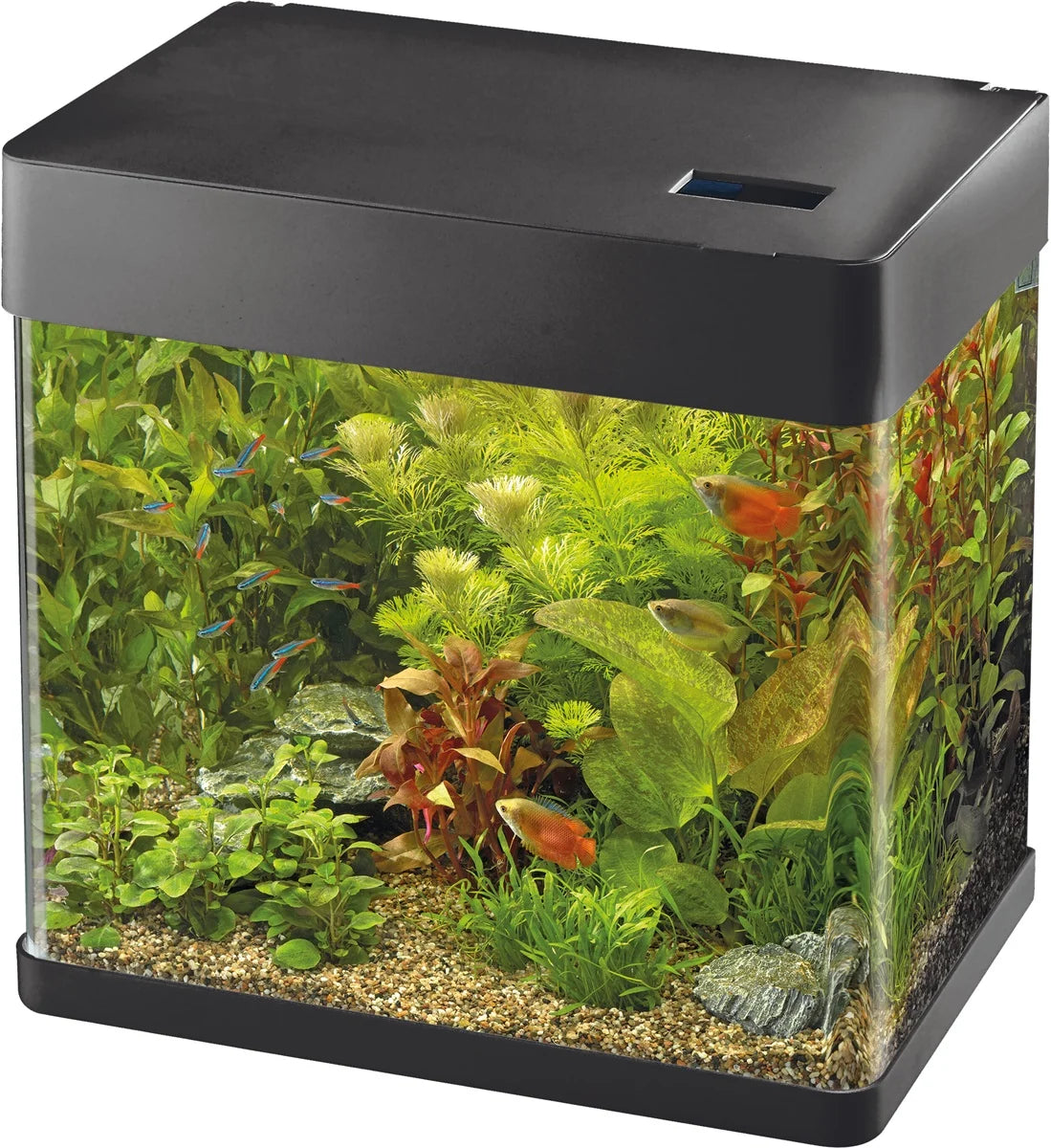 Acquario Panorama 50 nero - Superfish