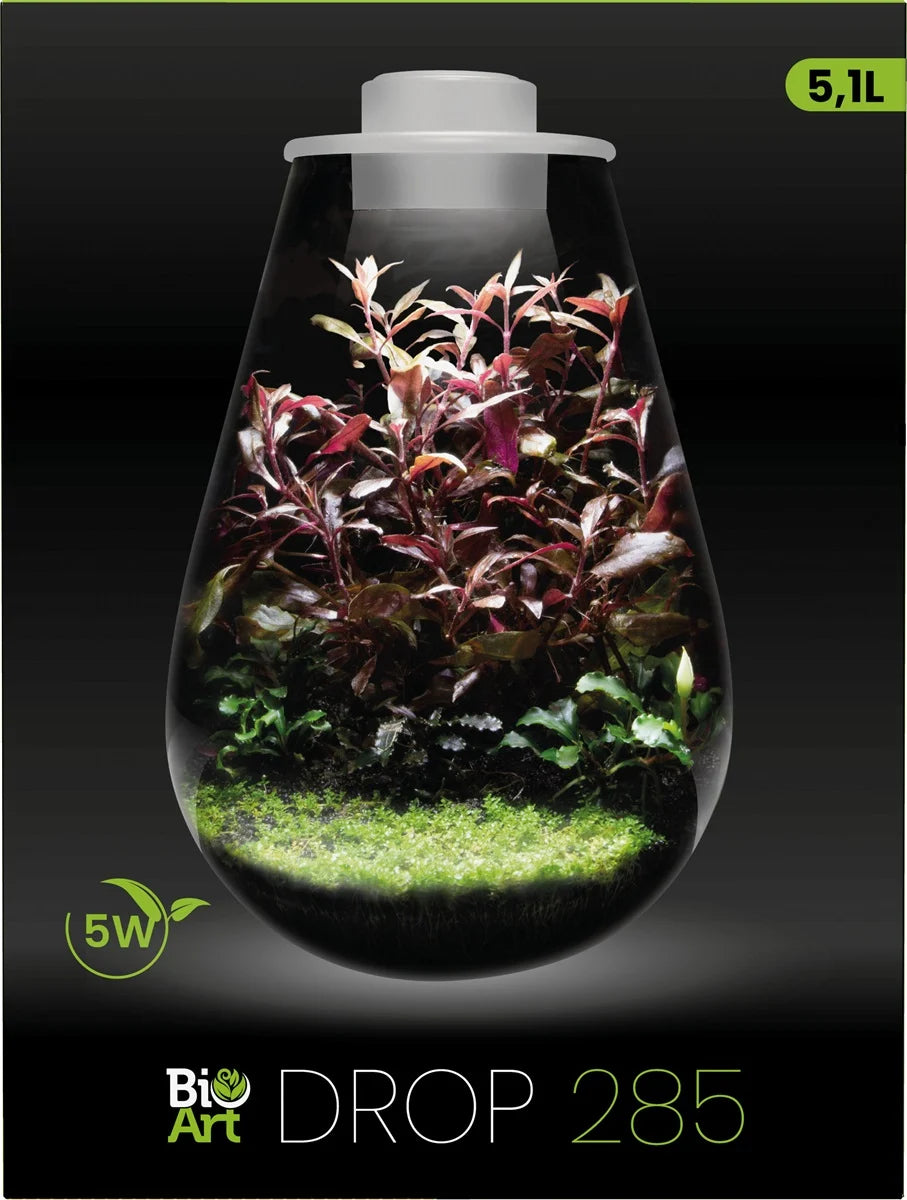 DROP 285 WHITE - BIOART