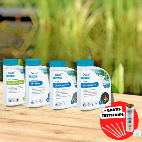 Pack de démarrage de printemps pour bassin