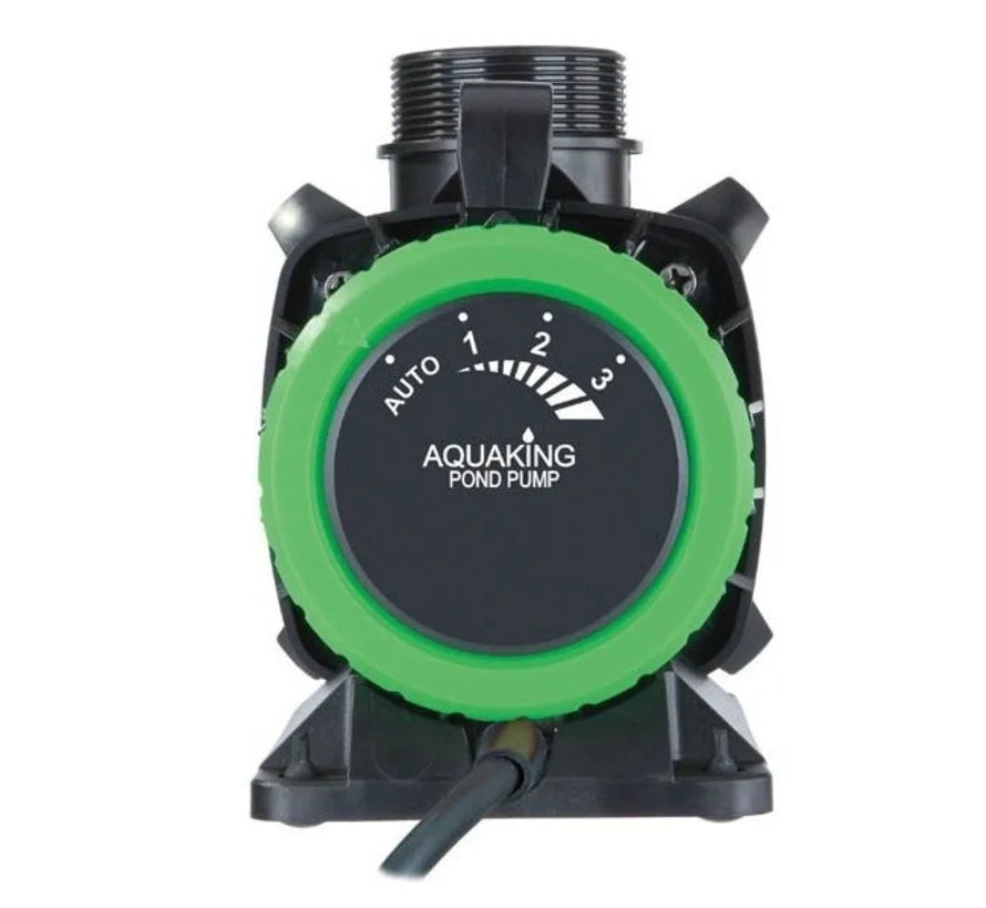 EGP²-10.000 NG Pompe à bassin Eco - Aquaking