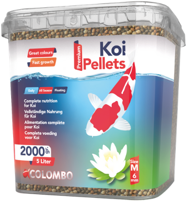 Koi Medium 5L - Colombo