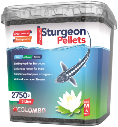 Steuer groß 5L - Colombo