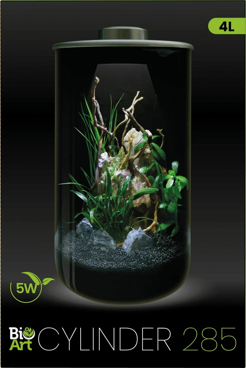 CYLINDER 285 BLACK - BIOART