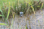 Pontec PondoSolar 600 Control Solar Fountain Insert