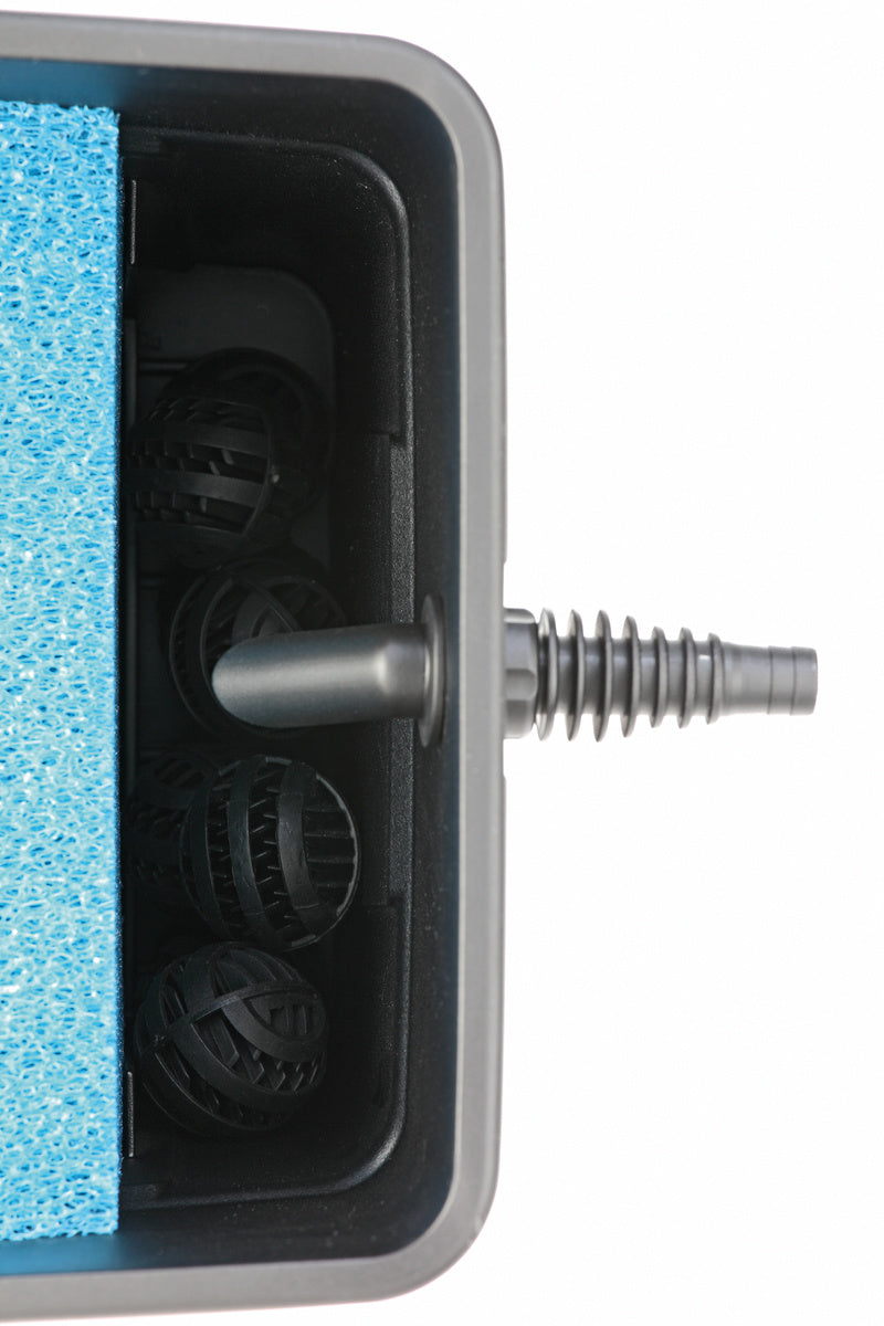 Image alt text
