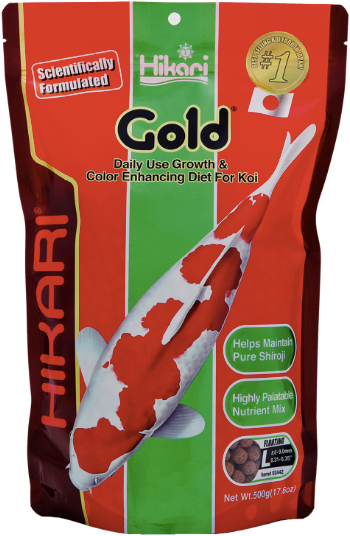 Gold Large 500g - Hikari