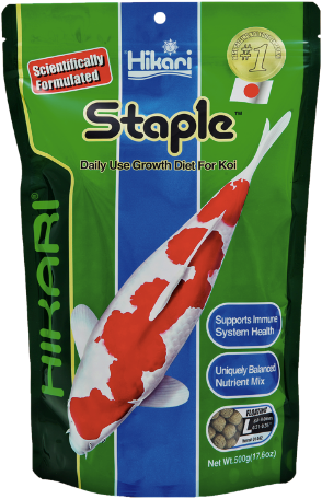 Staple Large 500g - Hikari