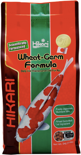 Germen de trigo grande 2 kg - Hikari
