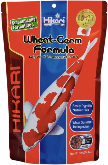 Germe di grano medio 500g - Hikari