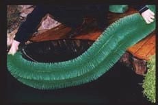 Image alt text