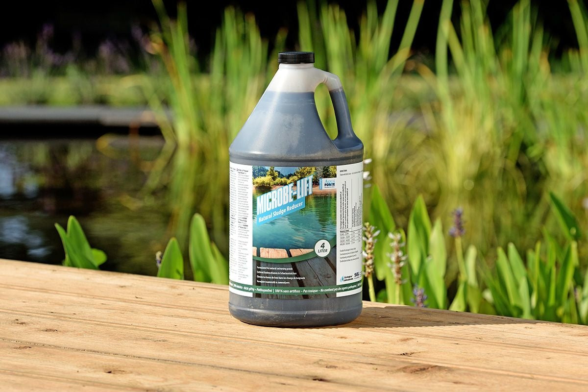 Natural Sludge Reducer 4 l – Microbe-Lift