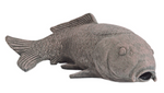 Carper filter - SuperFish